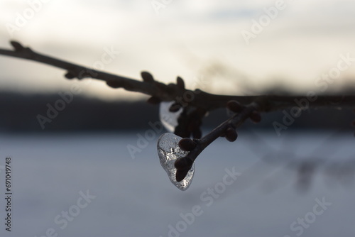 fields forerst in winter germany hessia photo