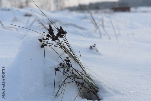 fields forerst in winter germany hessia photo