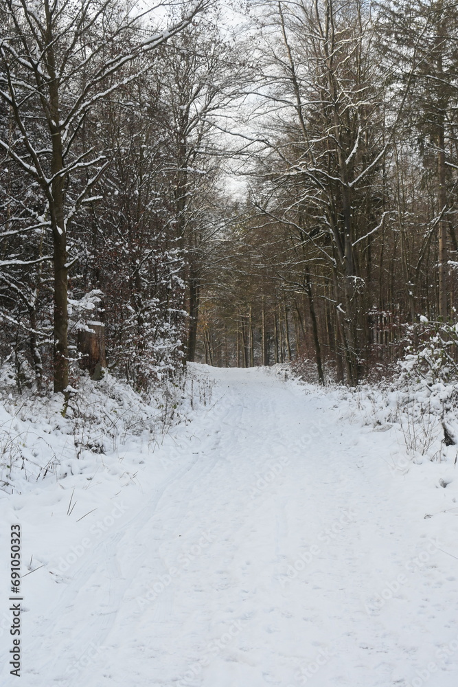 Nature photography in winter in Hesse Werra Meißner Kreis Nature photography in winter in Hesse Werra Meißner Kreis