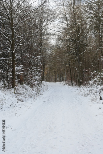 Nature photography in winter in Hesse Werra Meißner Kreis © Alexander