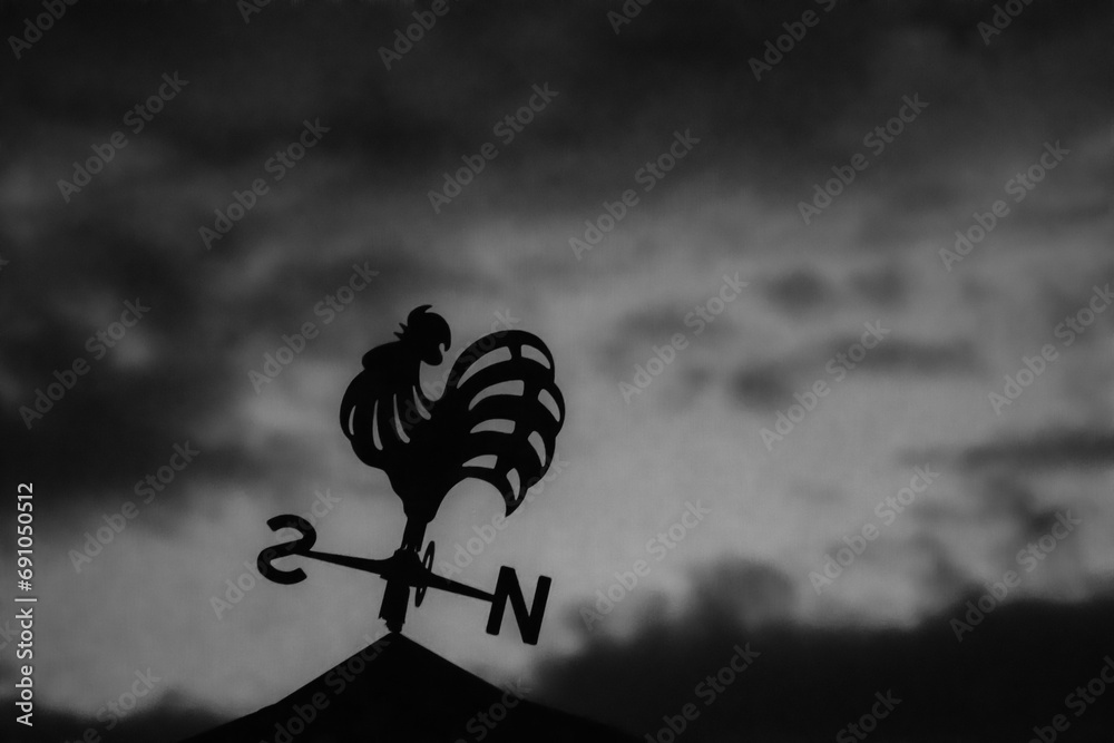Artificial rooster on the roof. Black and white photo. - obrazy, fototapety, plakaty 