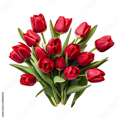Red tulips on transparent background PNG for project decoration.
