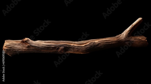 Dry tree branch on a black background isolated.