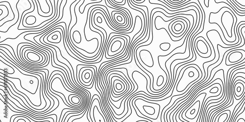 Topographic Map in Contour Line Light topographic topo contour map Topographic Map in Contour Line Light Topographic White seamless marble texture wave isolines vector Natural printing 