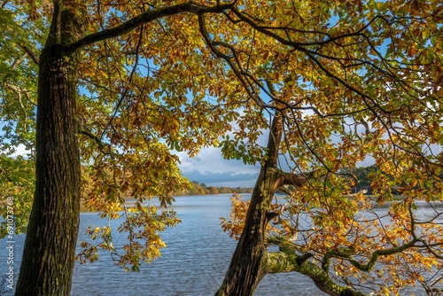 view of The River Hamble Hampshire England through Autumn coloured trees