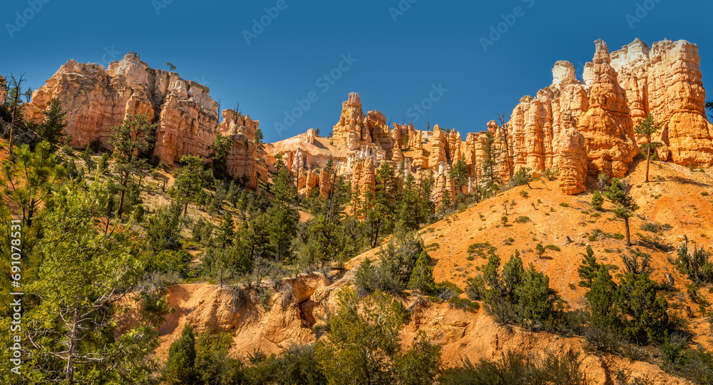 Panorama hoodoo spires in the Bryce Canyon National Park