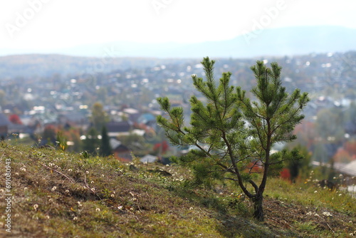 landscape in the morning