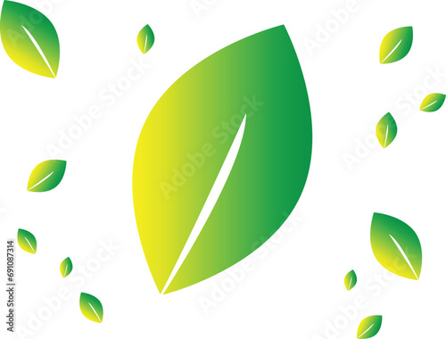 leaf vector gradient