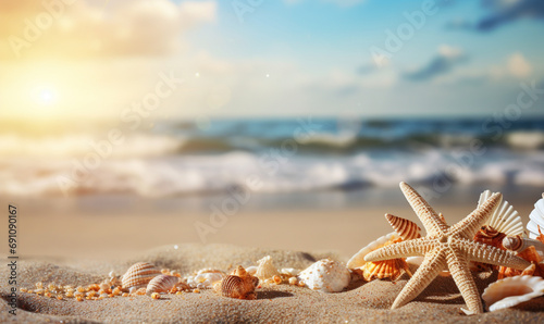 Seashells and starfish on the beach ocean and sky background