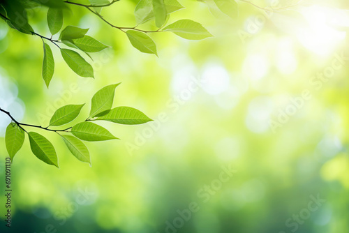 Spring background, green tree leaves on blurred background, texture background.