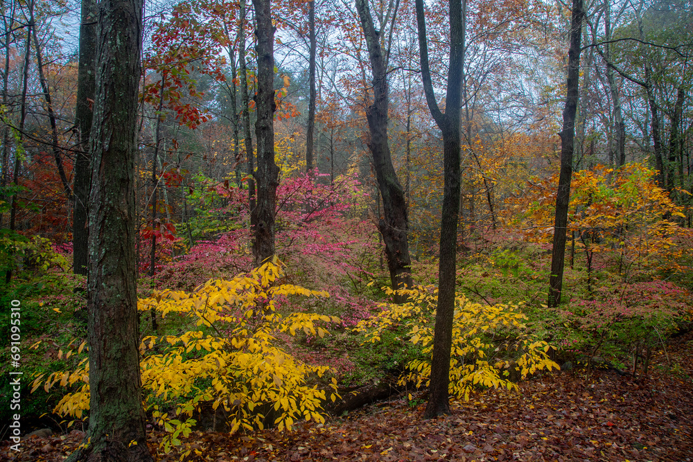 Obraz premium Connecticut Fall Colors