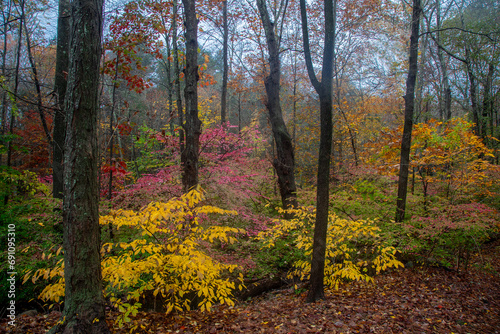 Connecticut Fall Colors