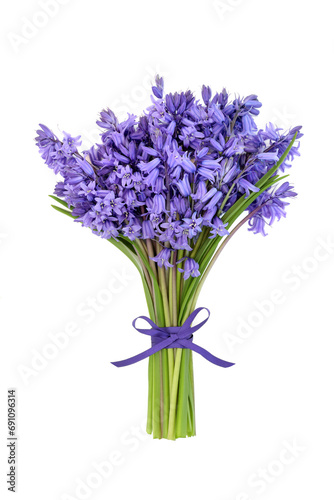 Bluebell flower bouquet for Spring on white background tied with purple ribbon bow. Floral gift present for birthday, Mothers Day, Easter. Hyacinthoides.