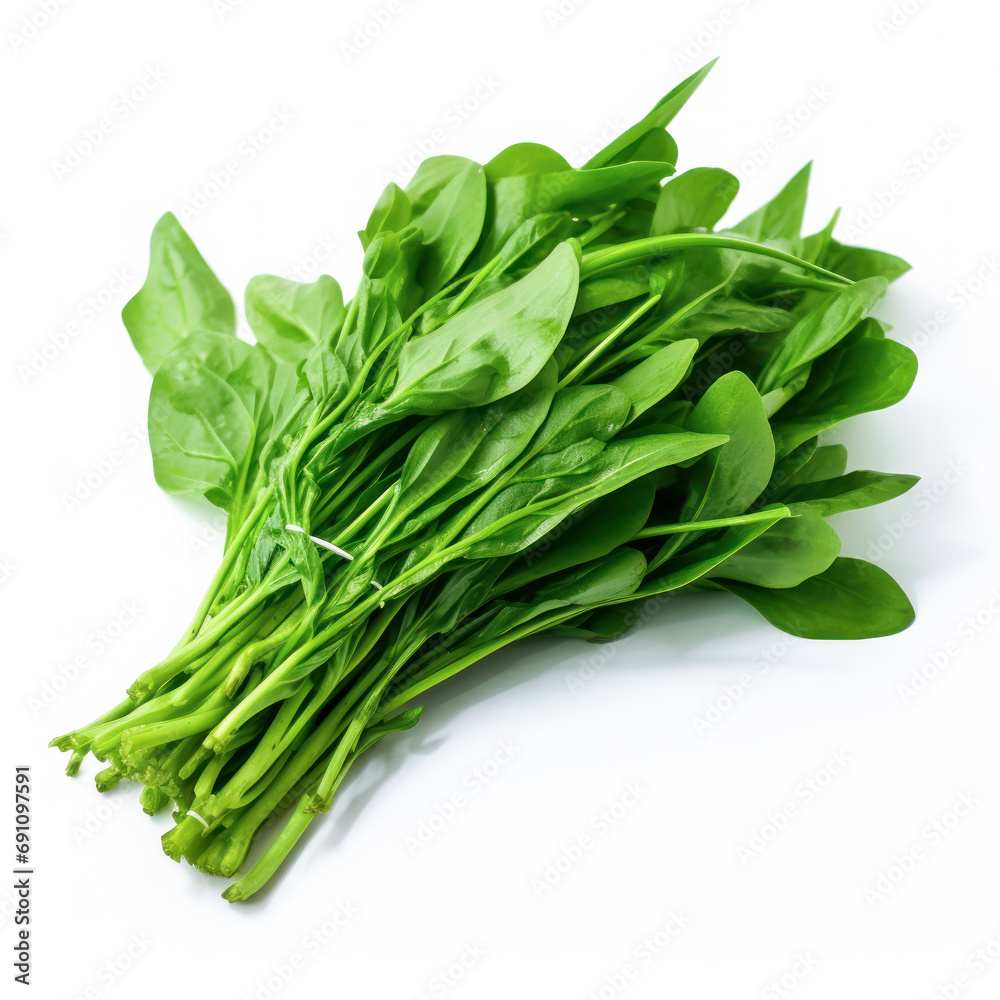 Fresh Spinach bunch on white background. Fresh Spinach bunch on white background.