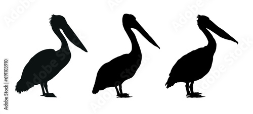 Set of pelican silhouette isolated