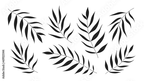 Black palm leaves isoted on white background. Black silhouette vector illustration.