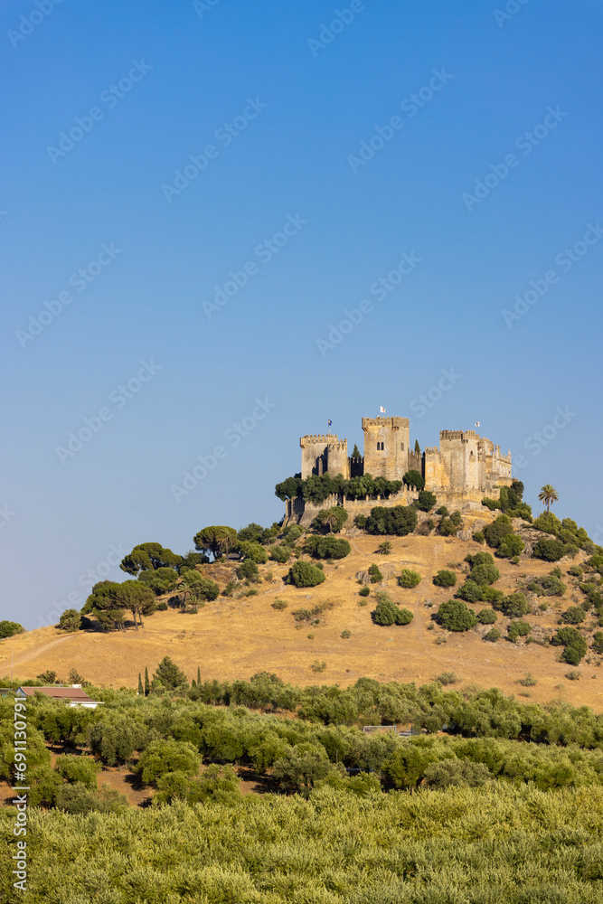 Almodovar del Rio Castle in Andalusia, Spain