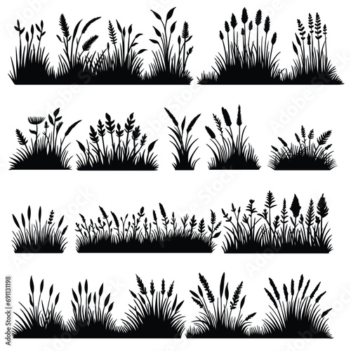 Plant elements set collection vector illustration for your company or brand