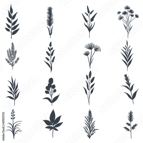 Plant elements set collection vector illustration for your company or brand