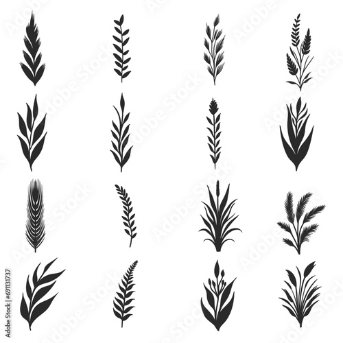 Plant elements set collection vector illustration for your company or brand