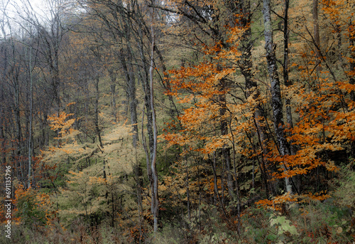 Vermont Fall Colors