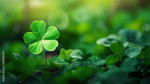 green clover, shamrock, symbol, st. patrick's day, luck, nature, plant, irish national holiday, spring, march 17, flower, tradition, religious, background, postcard, leaves