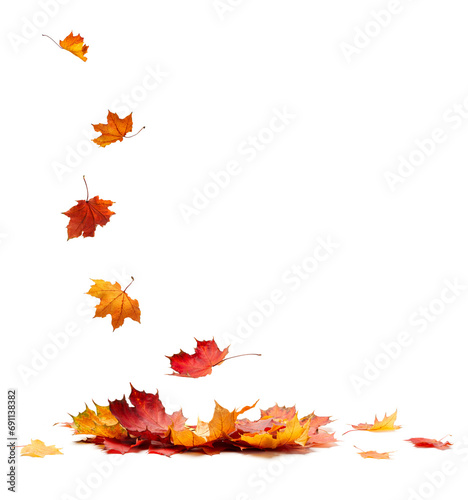 Autumn orange leaves falling down Isolated on white background
