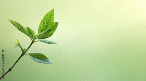  a close up of a single green leaf on a twig on a twig with a blurry background of the twig of a twig and the twig.