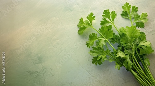  a bunch of green parsley sitting on top of a white counter top next to a bottle of ketchup and a glass bottle of wine next to it. © Anna