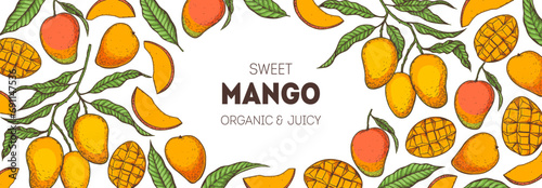 Ripe mango. Hand drawn vector illustration. Tropical fruit. Packaging design, menu design, juice packaging. Mango frame.