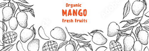 Ripe mango sketch. Hand drawn vector illustration. Tropical fruit. Packaging design, menu design, juice packaging. Mango frame.