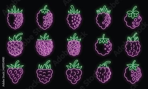 Raw blackberry icons set. Outline set of raw blackberry vector icons neon color on black photo