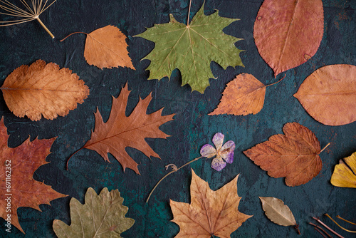 Autumn leaves on a background, pattern with autumn leaves on a dark green background, floristic wallpaper, decoration.