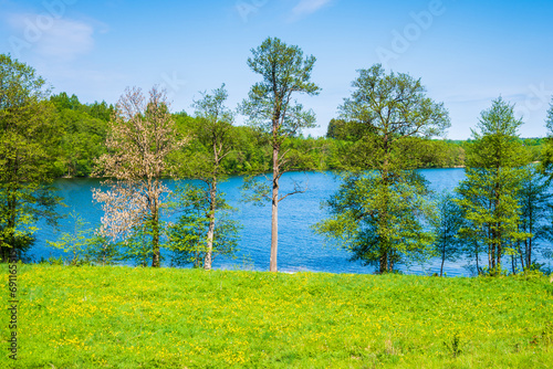 View of lake Hancza in spring season with green meadow and flowers , Suwalki Landscape Park, Podlasie, Poland