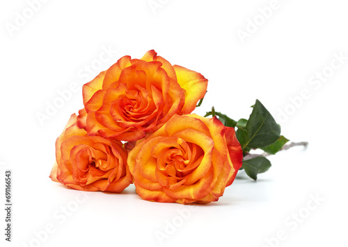 Three orange roses.
