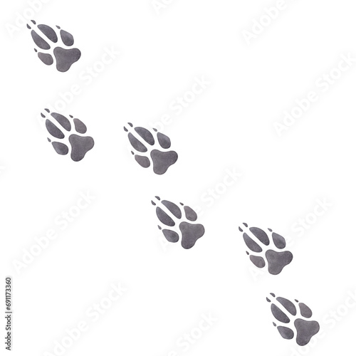 Track of wolf, fox, dog. Animal footprint. Gray paw print. Hand drawn watercolor illustration isolated on white background. For printing postcards, textile, clothes, fabrics photo