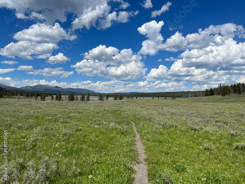 trail through a field in Yellowstone on a nice fluffy cloud day