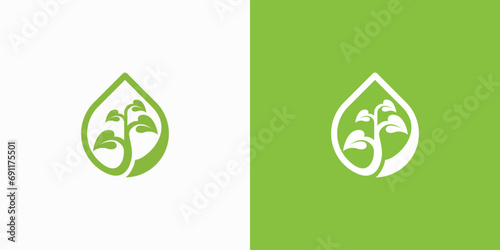 Vector logo design of plant growing on water drops