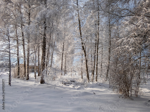 View of trees in a park fully covered with heavy snow on a sunny winter day with contrasting sky in background. Trees, shrubs and vegetation after heavy snowfall. Winter scenery