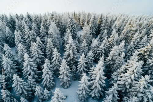 Drone photo of snow-covered evergreen trees during winter and after snowfall. Aerial view of a frozen, icy landscape © Mayava