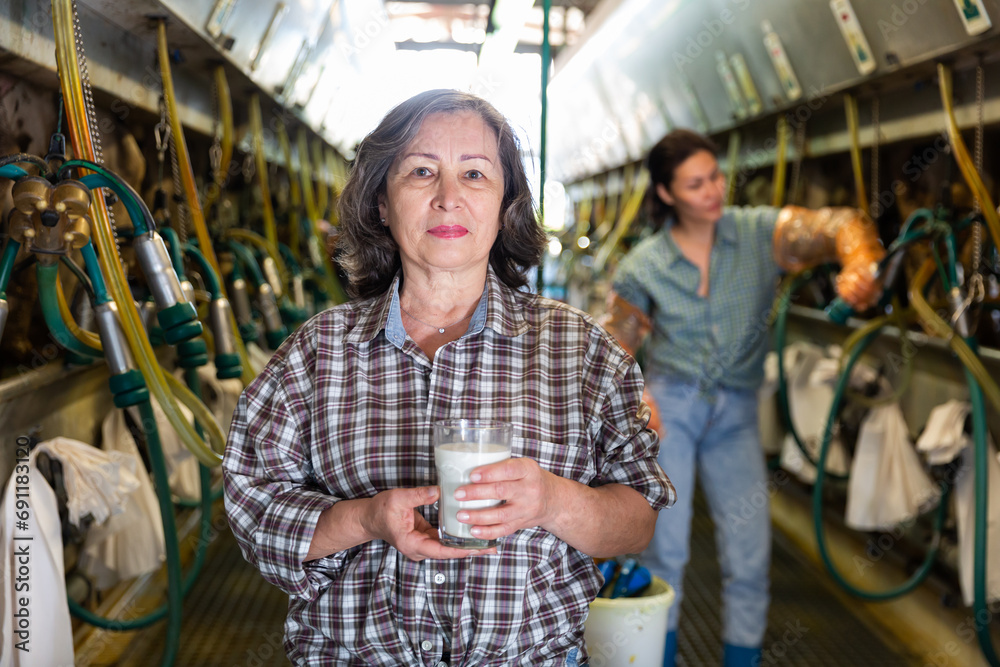 Mature woman is holding glass of milk at the cow farm