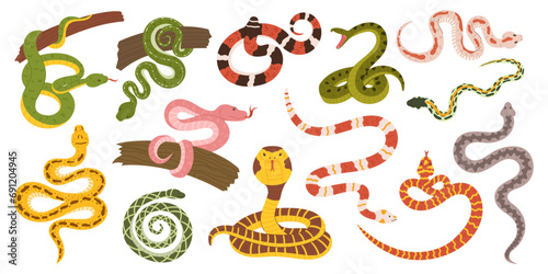 Mesmerizing Collection Of Snakes, Showcasing A Kaleidoscope Of Colors And Patterns. From Slithering Cobras To Pythons