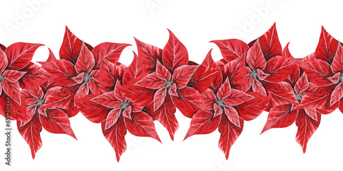 Christmas seamless border with poinsettia flowers, hand painted watercolor illustration isolated on white background. Floral illustration for Christmas, New Year decoration, postcards, invitations.