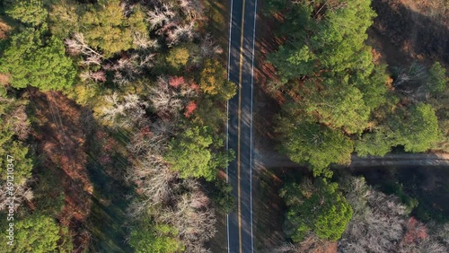 Georgia Fall Road Aerial