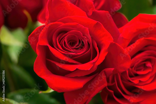 Bouquet of red roses in flower shop.