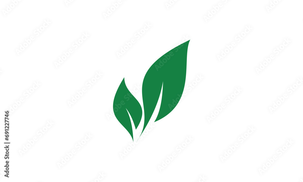 green leaves isolated on white green leaves isolated on white