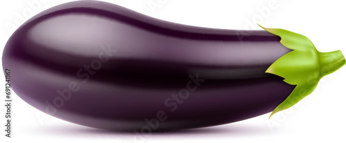 Realistic raw isolated eggplant. Whole vegetable. 3d vector elongated and deep purple aubergine with glossy skin. Its firm, white flesh holds a slightly bitter taste, awaiting culinary transformation photo