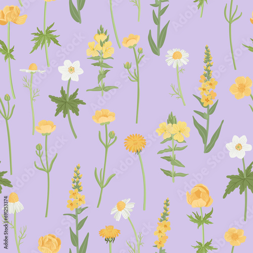 seamless pattern with yellow field flowers, vector drawing wild flowering plants at lilac background, floral ornament, hand drawn botanical illustration