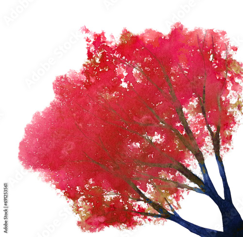 watercolor abstract painting tree autumn season.red leaf png.