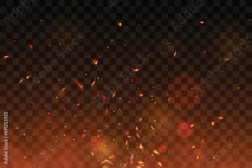 Fire embers particles over Transparent background. Fire sparks background.